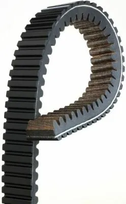 Correa de variador 40R3691 Gates