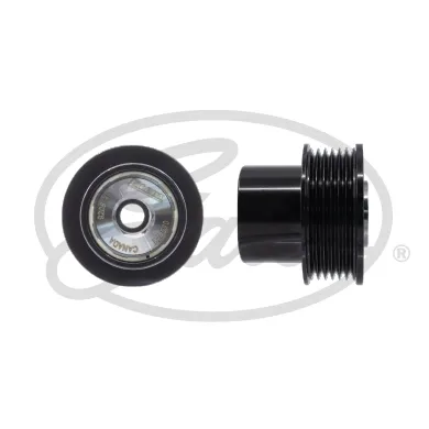 Polea alternador AP9097 Continental/Siemens