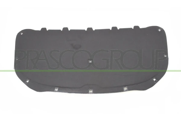 VG7191945 Prasco