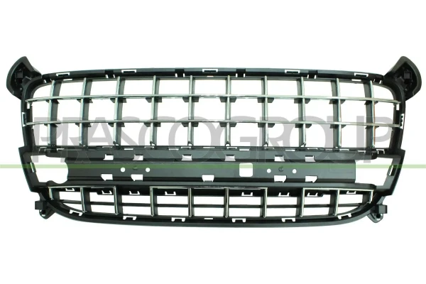 Panal de radiador PG5202001 Prasco