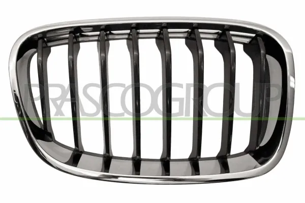 Rejilla derecha del radiador BM1232023 Prasco