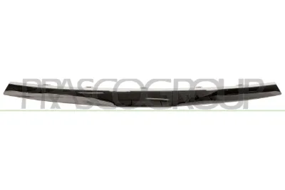 Moldura de la rejilla del radiador PRASCO DA7102206