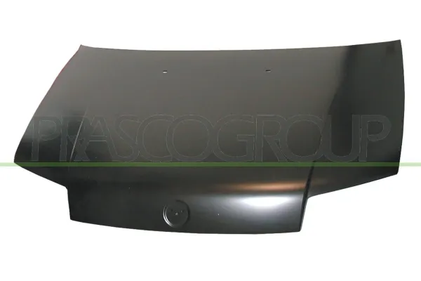 Capó Fiat Punto II