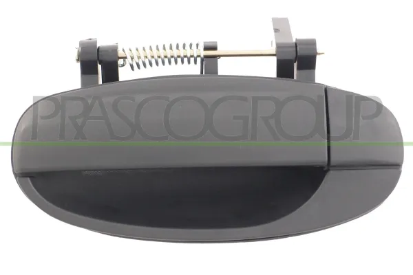 Manija exterior trasera izquierda DW3268102 Prasco