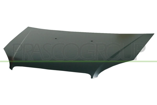Capot para Fiat Doblo (119)