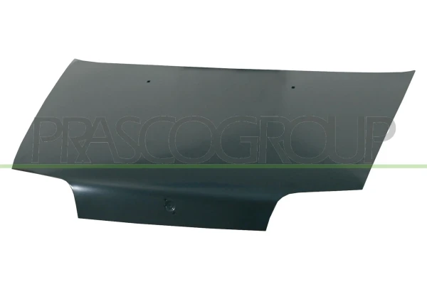 Capot para Fiat Punto 1 (176)