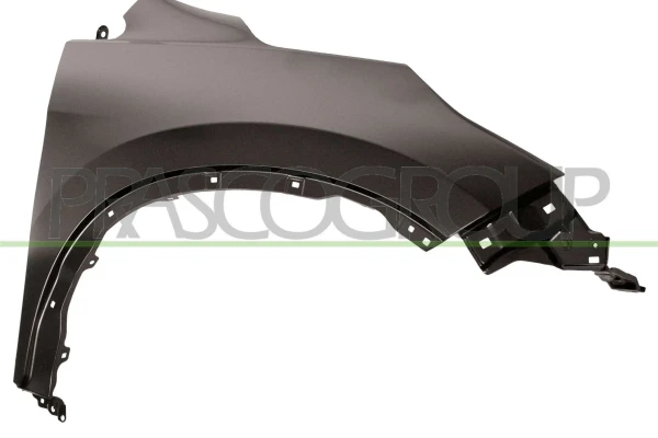 HD8313003 Prasco