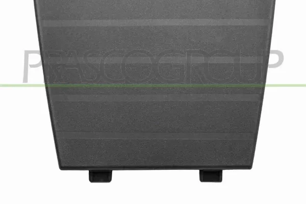  98258448XT Peugeot/Citroen