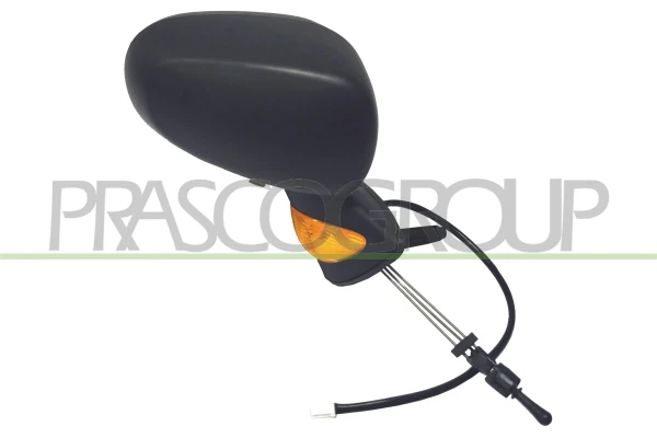 RN3087113P Prasco