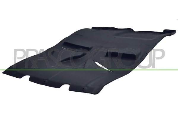 Protección motor /empotramiento Citroen Jumper (250)