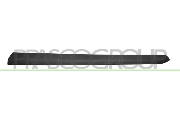 Moldura de la puerta delantera izquierda Fiat Doblo 2 (263)