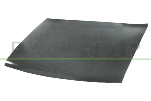 VG0793100 Prasco