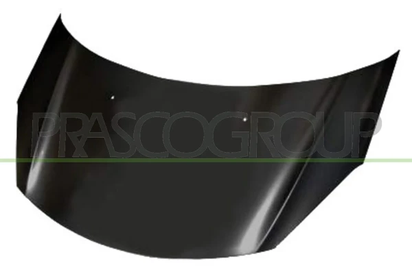 Capot para Citroen C3 2 (A51)