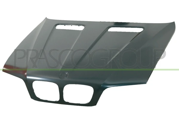Capot para BMW X5 (E53)