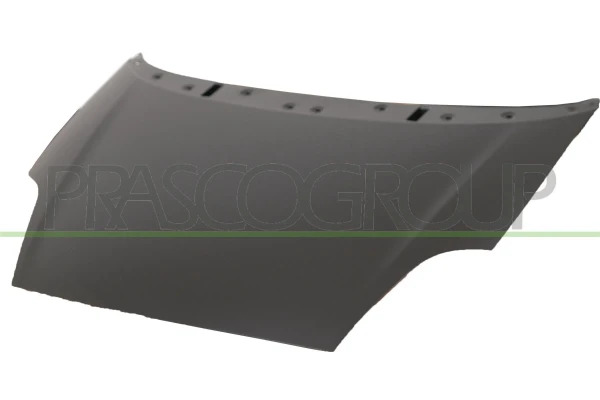 Capot para Fiat Punto (199)