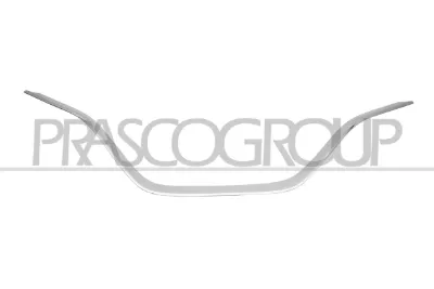 Moldura inferior de la parrilla del radiador PRASCO RN7502305