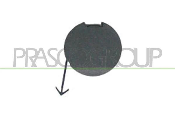 FT1331247 Prasco