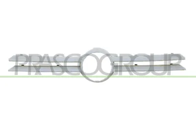 Moldura de rejilla del radiador PRASCO VG0342011