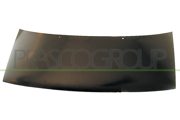 Capot para Citroen Jumpy 1 (U6U)
