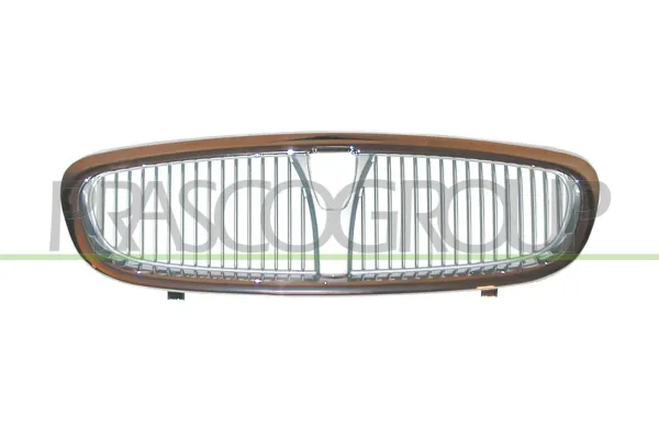 Parrilla Rover 25 RF