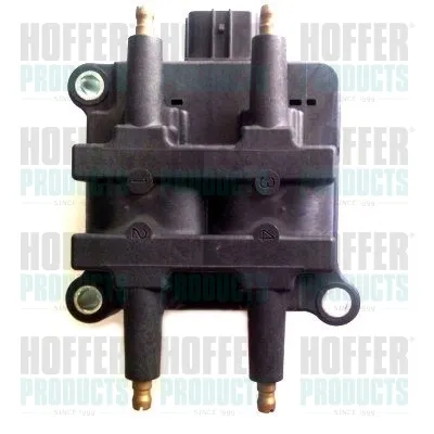 Bobina 8010653 Hoffer