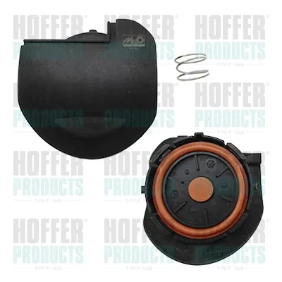 Membrana del separador de aceite 8091669 Hoffer