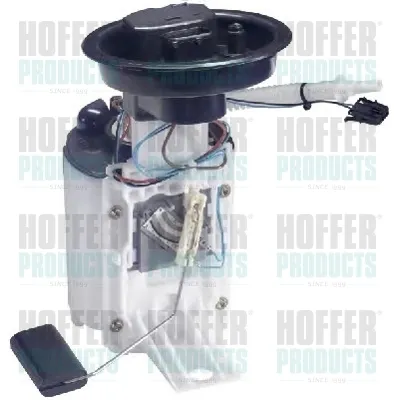 Unidad de alimentación de combustible Rover 75 RJ