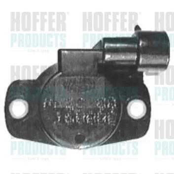 Sensor TPS 7513050 Hoffer