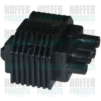 Bobina 8010316 Hoffer