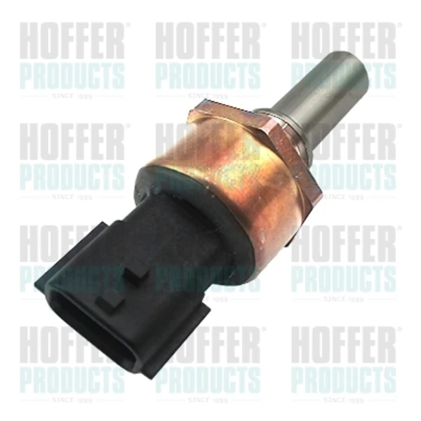 8029817 Hoffer