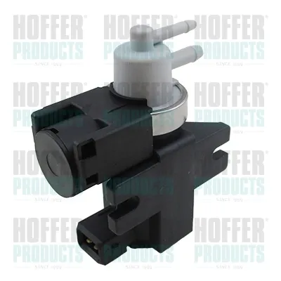 Válvula de solenoide de control de mariposa EGR 8029729 Hoffer