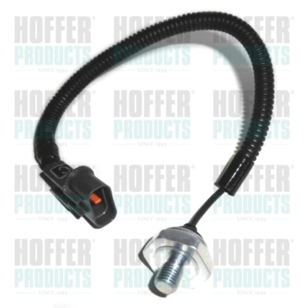 7517643 Hoffer