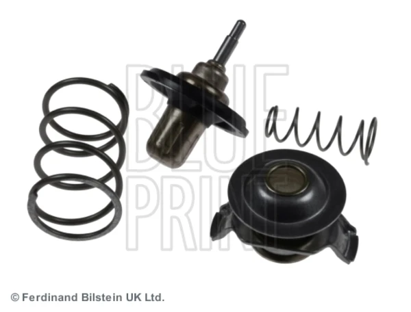 Termostato Land Rover Discovery 3 (LR3)