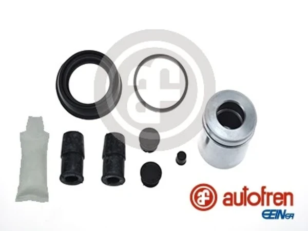 D42069C Autofren