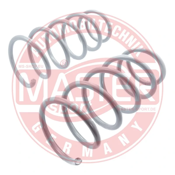 4017000SET2MS Master-sport