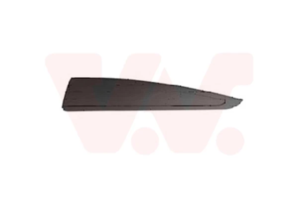 Moldura puerta trasera izquierda 4373425 VAN Wezel