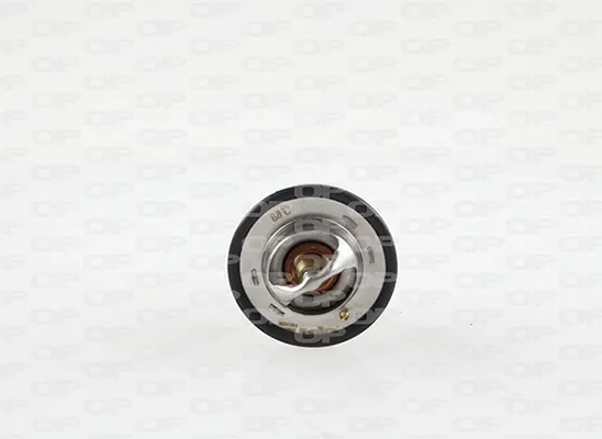 Termostato TRM114700 Open Parts