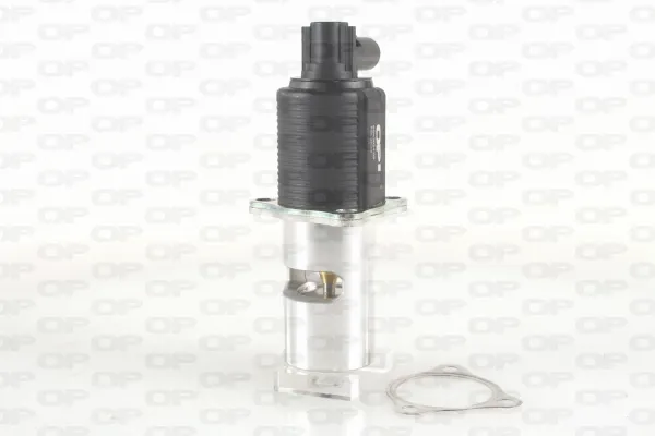 Válvula EGR EGR302400 Open Parts