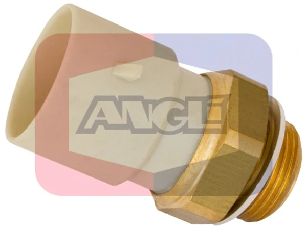 16224 Angli