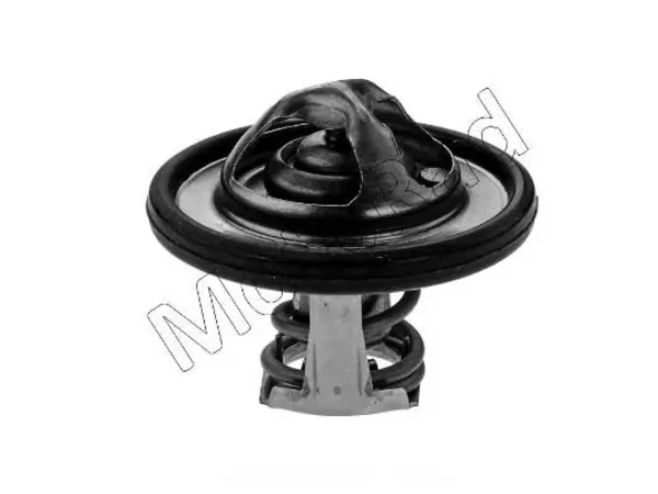 Termostato Mazda 2 (DY)