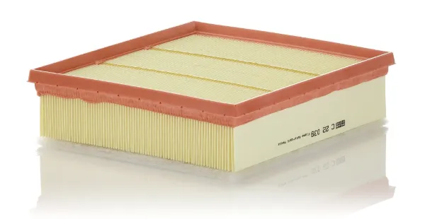 Filtro de aire C22039 Mann-Filter