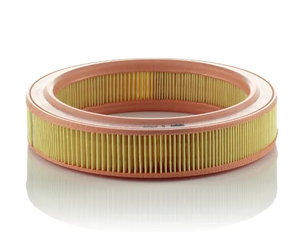 C2534 Mann-Filter