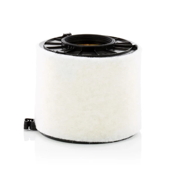 C17011 Mann-Filter