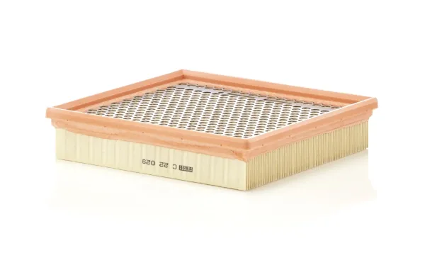 Filtro de aire C22029 Mann-Filter