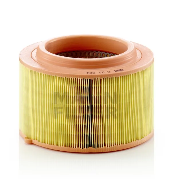 Filtro de aire C22024 Mann-Filter