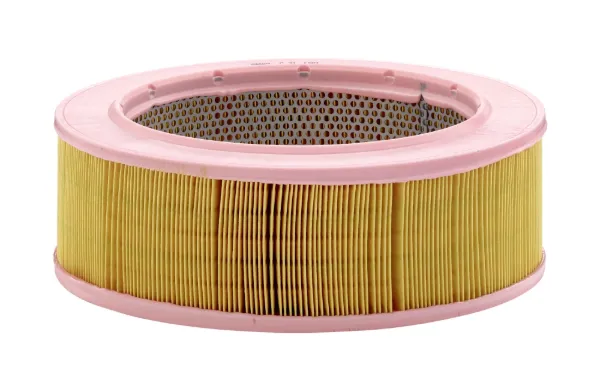 Filtro de aire C31190 Mann-Filter