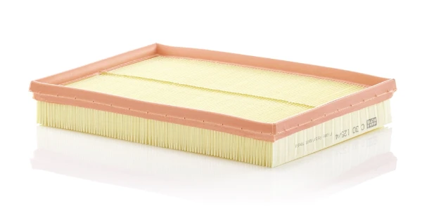 C301254 Mann-Filter