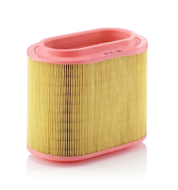 C24196 Mann-Filter