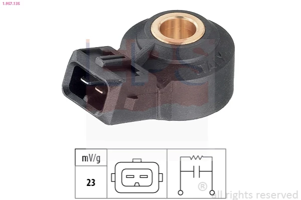 Sensor de detonaciones SsangYong Rexton (RJ)