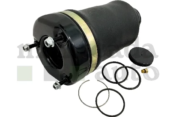 Bolsa de aire del eje delantero 0296130 Montcada